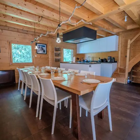 Σαλέ Vieil Ours Douillet 11pax Familial Vue