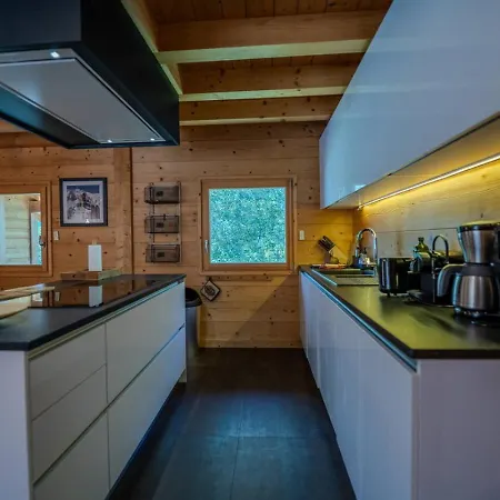 Σαλέ Vieil Ours Douillet 11pax Familial Vue *