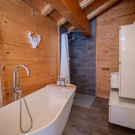 Douillet 11pax Familial Vue Chalet Chamonix