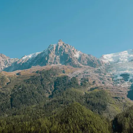 Vieil Ours Douillet 11pax Familial Vue Σαμονί