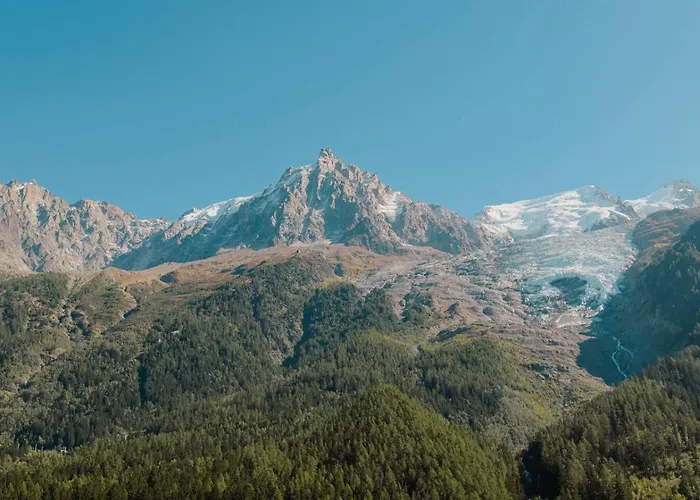 Vieil Ours Douillet 11pax Familial Vue Шамоні