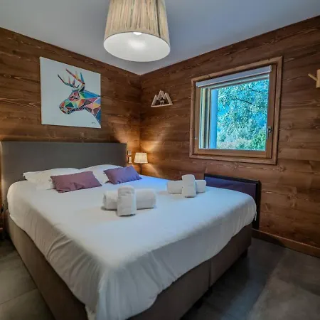 Vieil Ours Douillet 11pax Familial Vue シャモニー