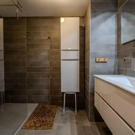 Vieil Ours Douillet 11pax Familial Vue * シャモニー