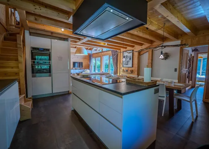 Vieil Ours Douillet 11pax Familial Vue シャモニー