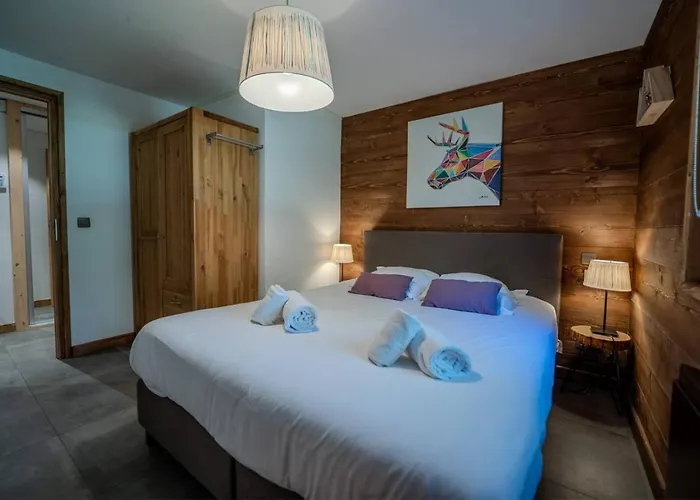 Vieil Ours Douillet 11pax Familial Vue シャレー シャモニー