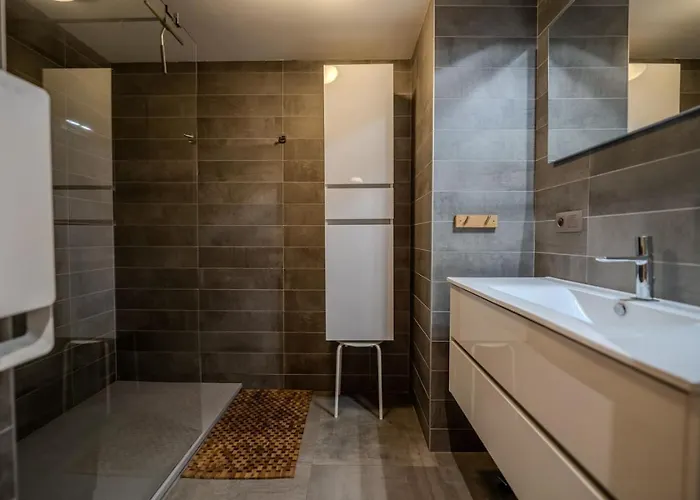 Vieil Ours Douillet 11pax Familial Vue * シャモニー