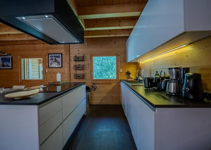 シャレー Vieil Ours Douillet 11pax Familial Vue *