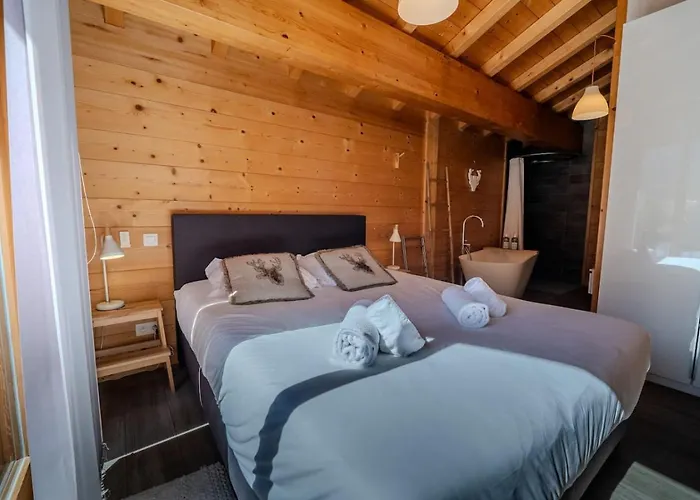 Vieil Ours Douillet 11pax Familial Vue * シャモニー