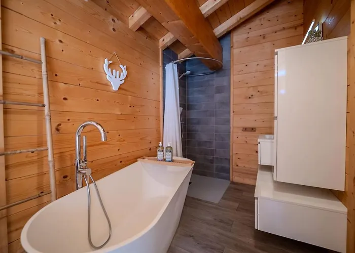 Vieil Ours Douillet 11pax Familial Vue シャレー シャモニー