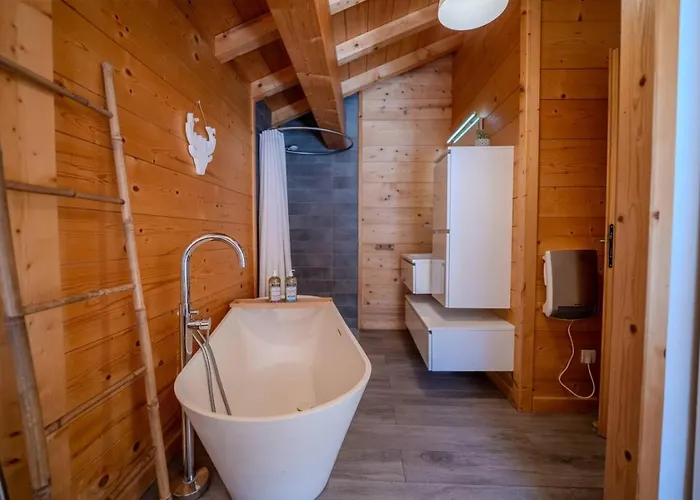 Vieil Ours Douillet 11pax Familial Vue シャレー